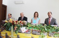 Vila Verde: Mais de 50 iniciativas, 134 expositores e a TVI marcam edição de 2016 da Festa das Colheitas