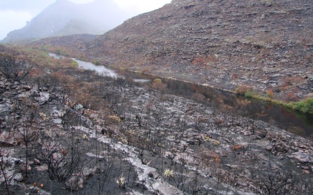 Terras de Bouro é o único Concelho do Vale do Homem com apoios para as explorações agrícolas danificadas pelos incêndios