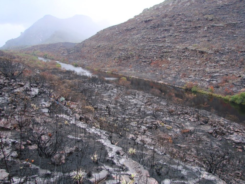 Terras de Bouro é o único Concelho do Vale do Homem com apoios para as explorações agrícolas danificadas pelos incêndios