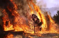 Mais de uma dezena de fogos activos no distrito de Braga
