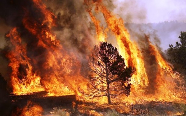 Mais de uma dezena de fogos activos no distrito de Braga