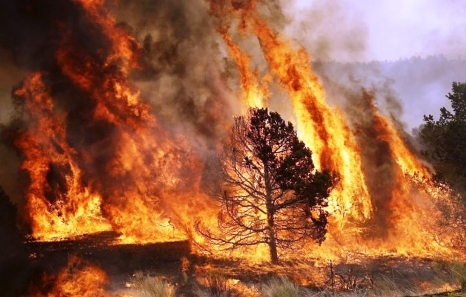 Mais de uma dezena de fogos activos no distrito de Braga