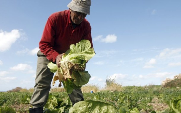 ASAE apreende 5 mil embalagens de pesticidas perigosos para a saúde pública