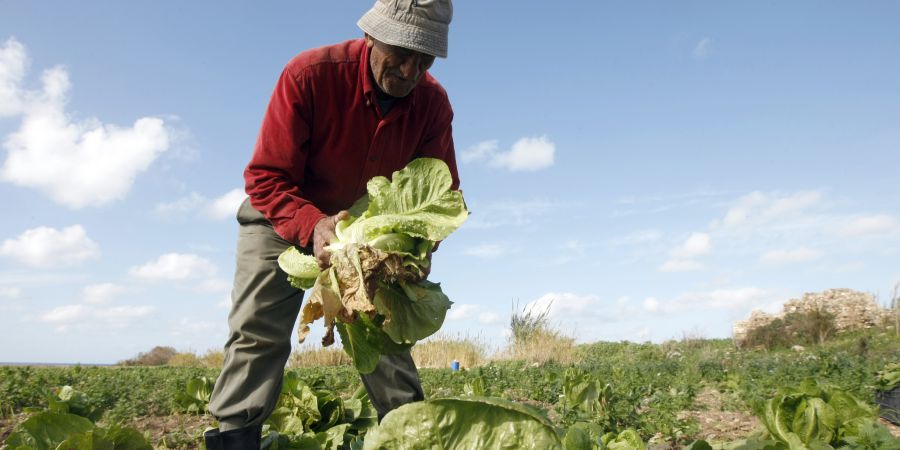 ASAE apreende 5 mil embalagens de pesticidas perigosos para a saúde pública