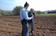 GNR reforça patrulhamento nas explorações agrícolas