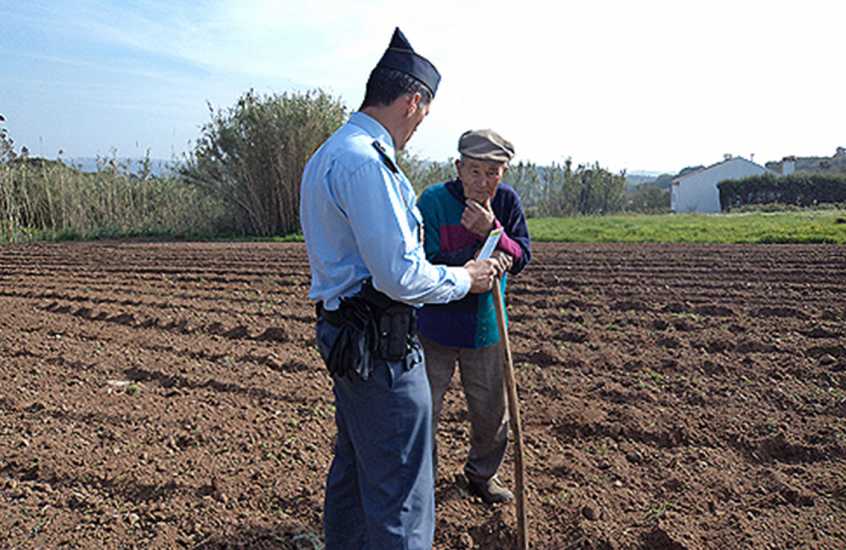 GNR reforça patrulhamento nas explorações agrícolas