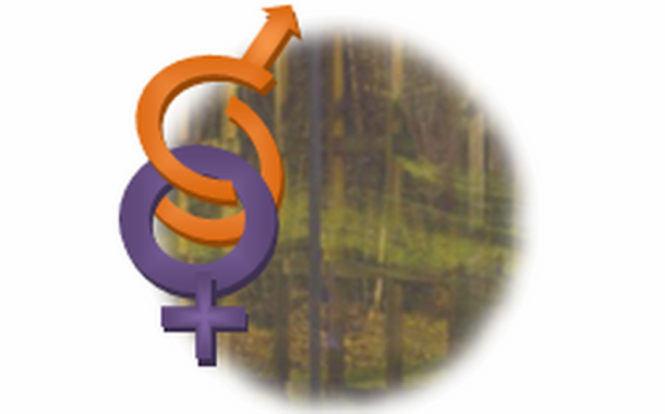 Vila Verde é um dos melhores concelhos para ‘Viver em Igualdade’