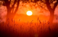 Temperaturas máximas sobem e podem rondar os 30 graus no Minho
