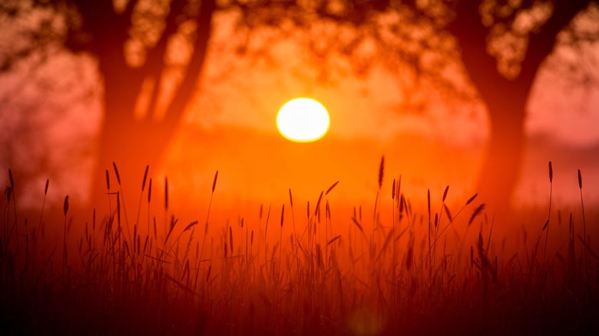 Temperaturas máximas sobem e podem rondar os 30 graus no Minho