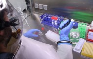 Investigadores de Coimbra criam método inovados que facilita diagnóstico de tumores
