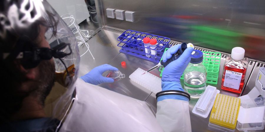 Investigadores de Coimbra criam método inovados que facilita diagnóstico de tumores