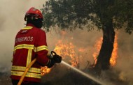 Três madeireiros detidos em Goães (Amares) por incêndio florestal