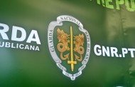 GNR apreende mais de 163 mil doses de haxixe numa semana