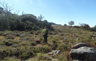 Parque Peneda-Gerês com rede total de telemóvel até ao próximo Verão para acabar com as ‘zonas sombra’