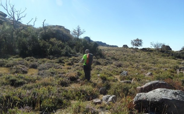 Parque Peneda-Gerês com rede total de telemóvel até ao próximo Verão para acabar com as ‘zonas sombra’