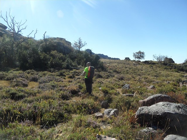 Parque Peneda-Gerês com rede total de telemóvel até ao próximo Verão para acabar com as ‘zonas sombra’