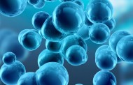 TecMinho lidera primeiro acelerador europeu de nanomedicina