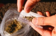 Detidos no Gerês com 75 doses de haxixe