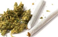 GNR do Gerês apreende cannabis dentro de automóvel