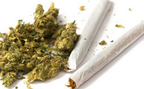 GNR do Gerês apreende cannabis dentro de automóvel