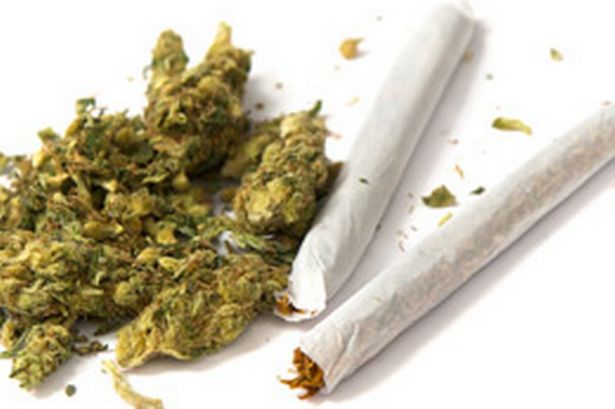 GNR do Gerês apreende cannabis dentro de automóvel