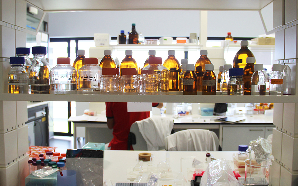 Cientista portuguesa descobre células resistentes ao HIV