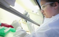 Metásteses de alguns tipos de cancro da mama formam-se antes da detecção da doença