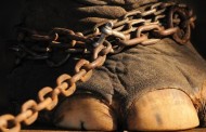 Assembleia Municipal da Póvoa de Varzim proíbe circo com animais selvagens