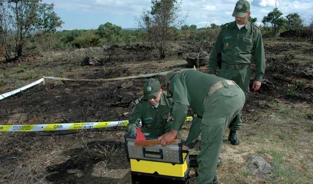 Dados da GNR indicam que 20 % dos fogos florestais tiveram origem intencional