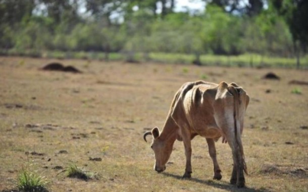 Alterações climáticas já custaram 6,8 mil milhões de euros a Portugal