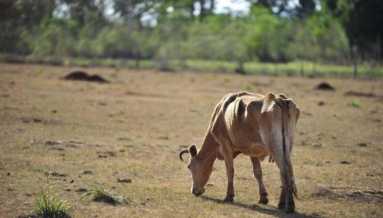 Alterações climáticas já custaram 6,8 mil milhões de euros a Portugal