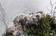 Ambientalistas pedem: feche-se Almaraz, inspeccione-se o Tejo