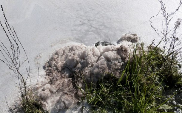 Ambientalistas pedem: feche-se Almaraz, inspeccione-se o Tejo