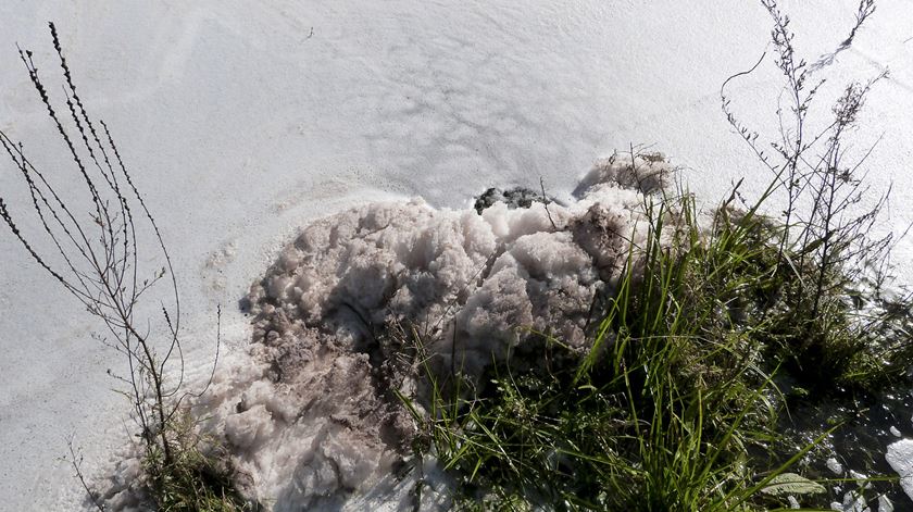 Ambientalistas pedem: feche-se Almaraz, inspeccione-se o Tejo