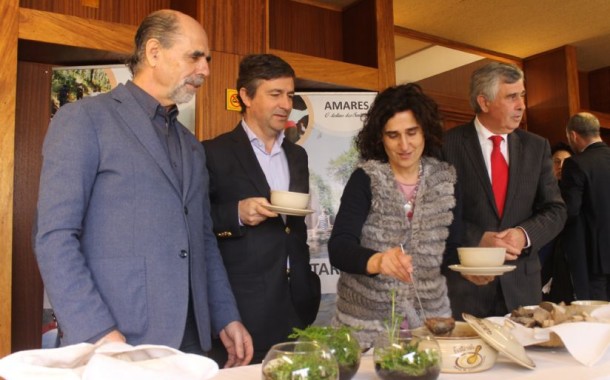 Festival de Papas de Sarrabulho de Amares espera atingir os 25 mil visitantes e um volume de negócio de meio milhão de euros