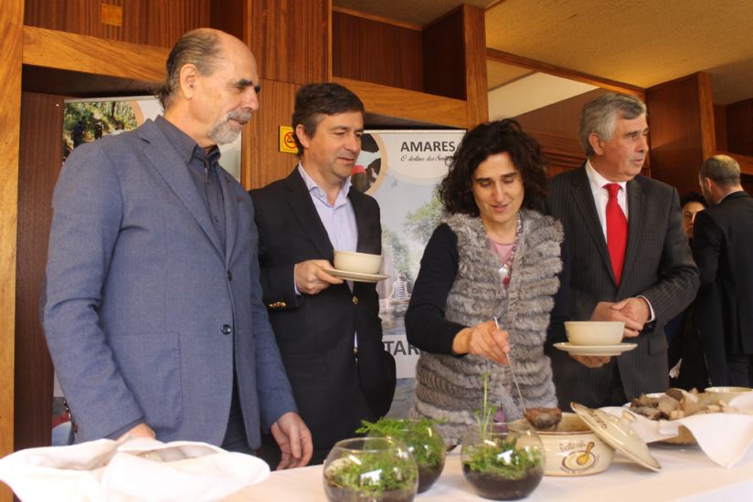 Festival de Papas de Sarrabulho de Amares espera atingir os 25 mil visitantes e um volume de negócio de meio milhão de euros