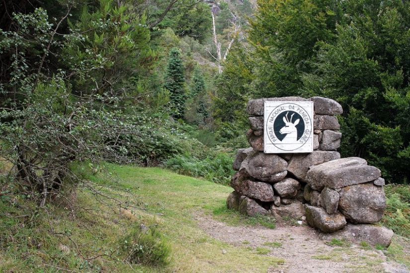 Deputada Carla Cruz (PCP) questiona Governo sobre novo modelo de gestão do Parque Nacional Peneda Gerês