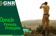 Operação Floresta Protegida da GNR arranca esta quarta-feira no PNPG