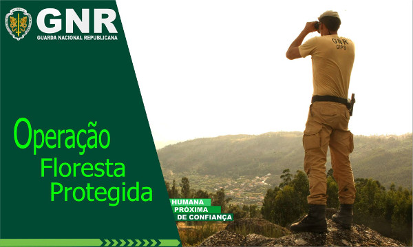 Operação Floresta Protegida da GNR arranca esta quarta-feira no PNPG