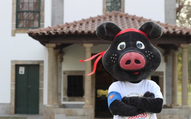São João de Braga põe Porco Preto a saltar obstáculos
