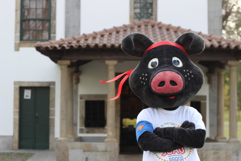 São João de Braga põe Porco Preto a saltar obstáculos