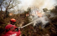 GNR e PJ detiveram ‘Gasolinas’ por fogo posto atrás do Sameiro