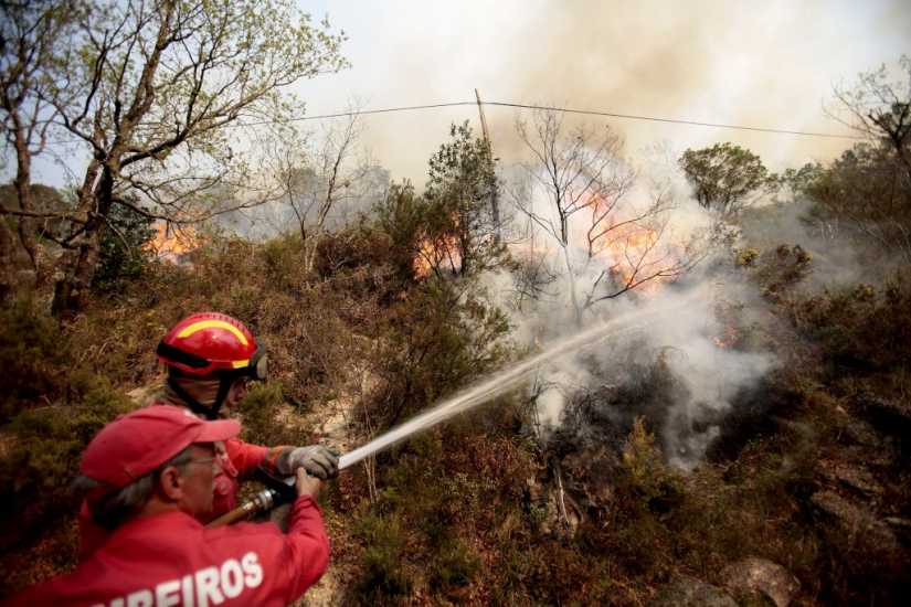 GNR e PJ detiveram ‘Gasolinas’ por fogo posto atrás do Sameiro