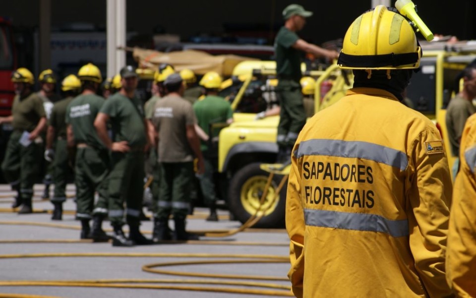 Associação Florestal do Cávado e Câmara de Braga juntas para criar equipa de Sapadores Florestais