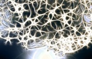 Doença de Parkinson afecta 18 mil portugueses