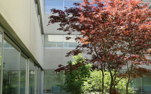 Escola de Psicologia da UMinho celebra esta quarta-feira 8.º aniversário em Braga e inaugura associação em Guimarães