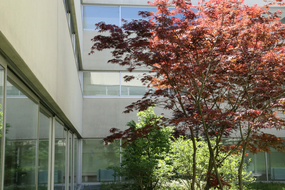 Escola de Psicologia da UMinho celebra esta quarta-feira 8.º aniversário em Braga e inaugura associação em Guimarães