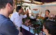 BRAGA: Mercado da Páscoa promove até sábado no Campo da Vinha tradições e sabores da região