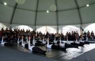 ‘B de Dança' arranca esta sexta-feira em Braga para comemorar Dia Internacional de Dança