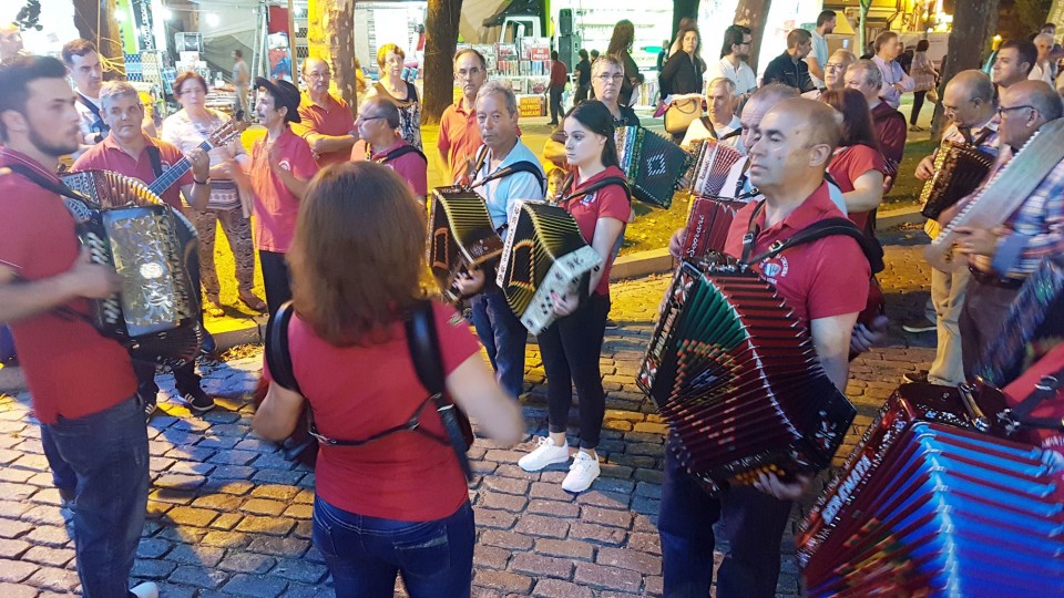 VILA VERDE: Noitada popular de Santo António com rusgas e muita animação